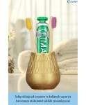 Diş Fırçalığı Tezgah Üstü Altın Renk Diş Fırçası Standı Vazo Model